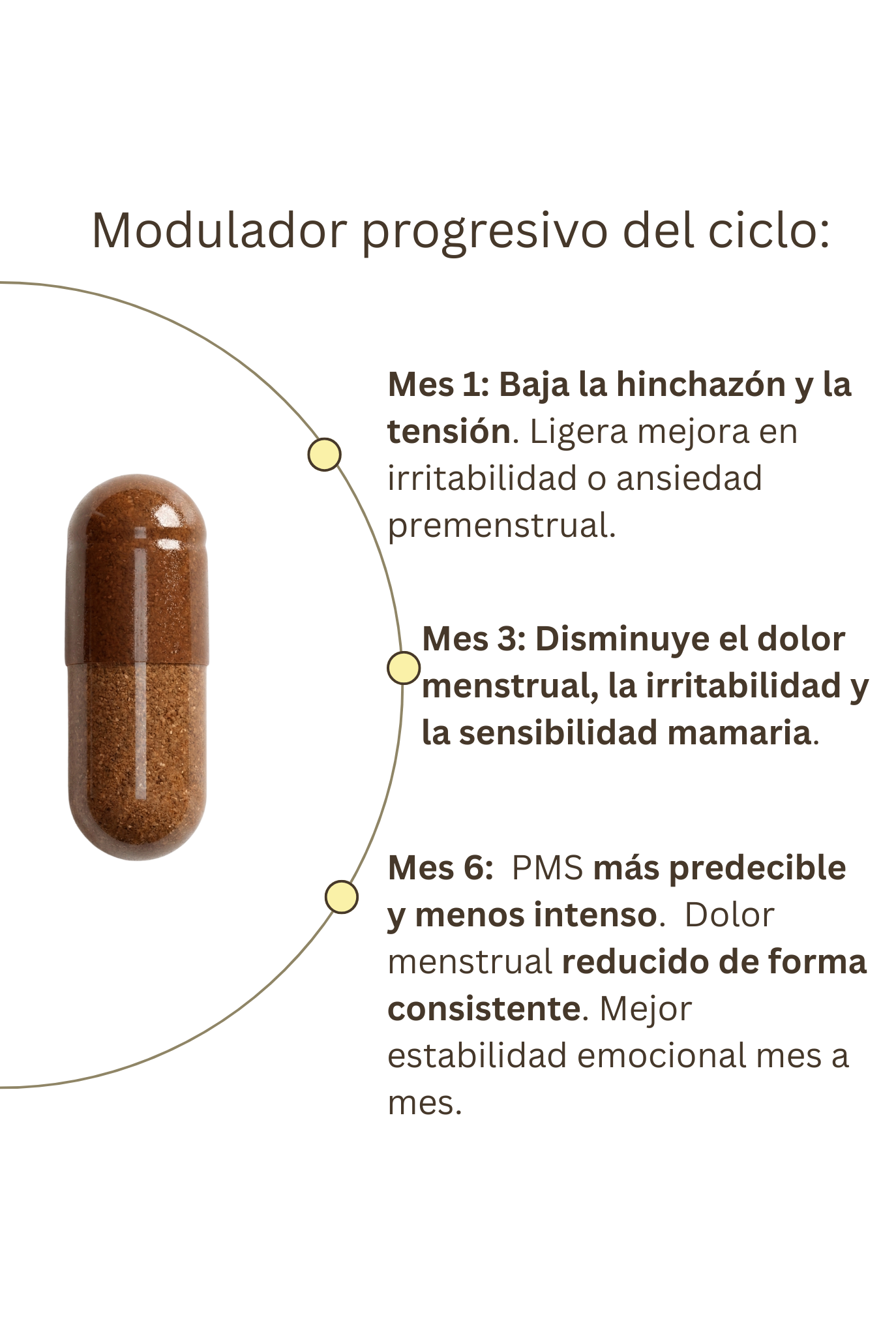 Ciclo 360 | Regulación del ciclo menstrual, disminuye la inflamación y el dolor, cuida de tu aparato reproductor.